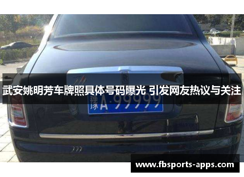 武安姚明芳车牌照具体号码曝光 引发网友热议与关注